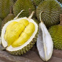 Durianul (în transportul public din Singapore, Thailanda și alte țări din Asia de Sud-Est)