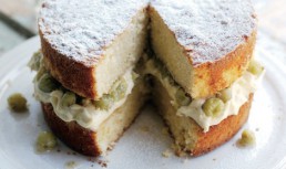 Tort Cu Crema De Vanilie Si Agrise