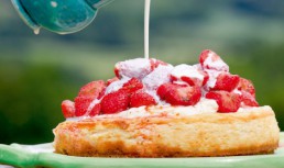 Cheesecake Cu Lamaie Si Vanilie Si Capsuni Marinate