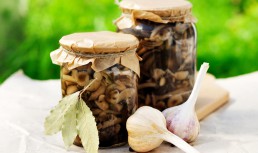 Ciuperci murate