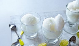 Serbet De Yuzu Si Margarita