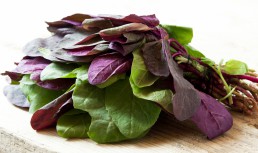 Salată de lobodă crudă. Rețetă de primăvară, gustoasă și sănătoasă