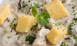 Pui cu sos de smântână și mămăliguță