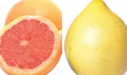 Pomelo vs. grapefruit. Cât de asemănătoare sunt și prin ce se deosebesc