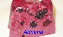 Bavareza cu fructe de padure
