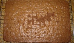 Biscuit cu ciocolata si alune de padure