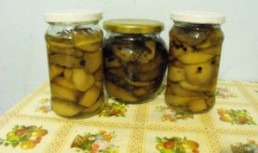 Ciuperci murate