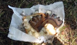 Clisa fripta si pita picurata