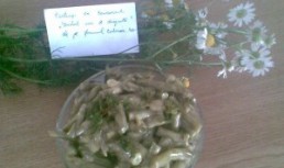 Fasole verde cu maioneza