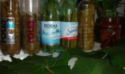 Frunze de vita pentru iarna