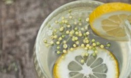 Limonada din flori de soc