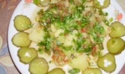 Mancarica de vara