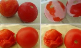 Rosii congelate