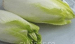 Salata asortata de andive