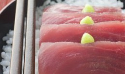 Sashimi