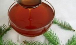Sirop din muguri de brad