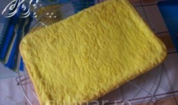 Tort cu crema de ciocolata fara gelatina