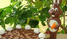 Tort in doua culori