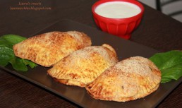 Empanadas cu carne de pui si ciuperci