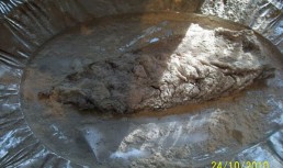 File de macrou cu sos de smantana, capere si ciuperci in foetaj