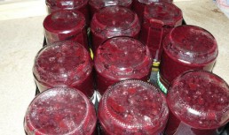 Gem plin de vitamine(merisoare, mure, pere)