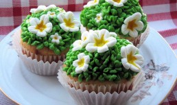 Ghivece de primavara