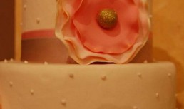 Gum Paste sau reteta bazica pentru modelaj in pasta de zahar