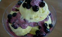 Inghetata de vanilie si fructe de coacaze