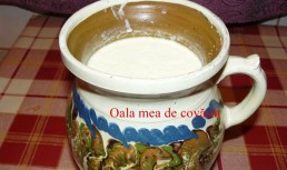 Lapte covas^at(iaurt de casa)