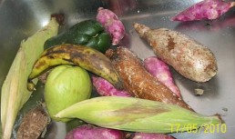 Olla de Carne
