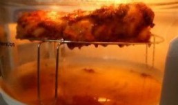 Pui la gratar cu crusta rumenita cu susan