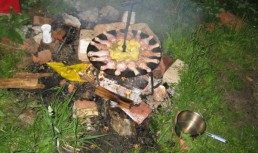 Pulpe de pui pe disc