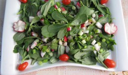 Salata de laptuci