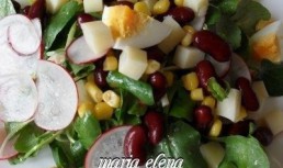 Salata de padure (untisor) cu fasole, porumb, ou si ridiche