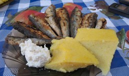 Sardina prajita, cu mamaliga si mujdei