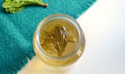 Sirop din muguri de brad (in 30 min)