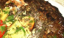 Somn in crusta de mustar Dijon