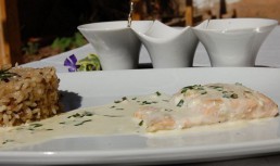 Somon cu sos de smantana/Garnitura de orez cu ciuperci