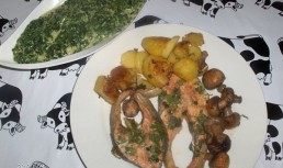 Somon cu suc de portocale la cuptor(Salm~ao c/laranja no forno)