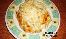 Spagete cu carne de gaina in sos peshamel
