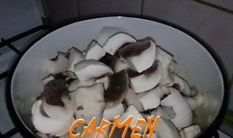 Tocanita cu vitel si ciuperci champignion