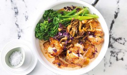 Stroganoff De Pui