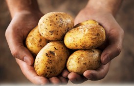 8 Beneficii Ale Consumului De Cartofi