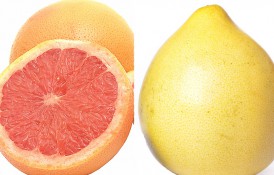 Pomelo vs. grapefruit. Cât de asemănătoare sunt și prin ce se deosebesc