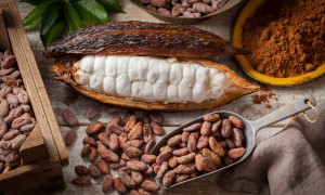 Cacao: beneficii, proprietăți și rețete delicioase