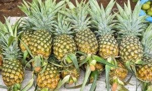 Cum să alegi cel mai suculent și dulce ananas?