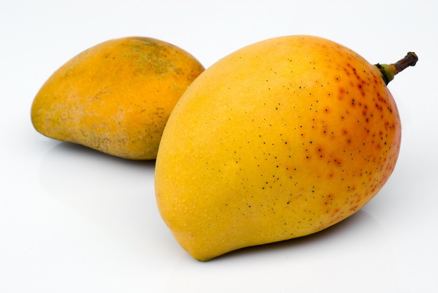 mango alphonso