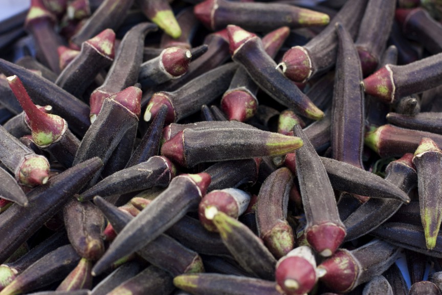 Bame din soiul Purple Okra