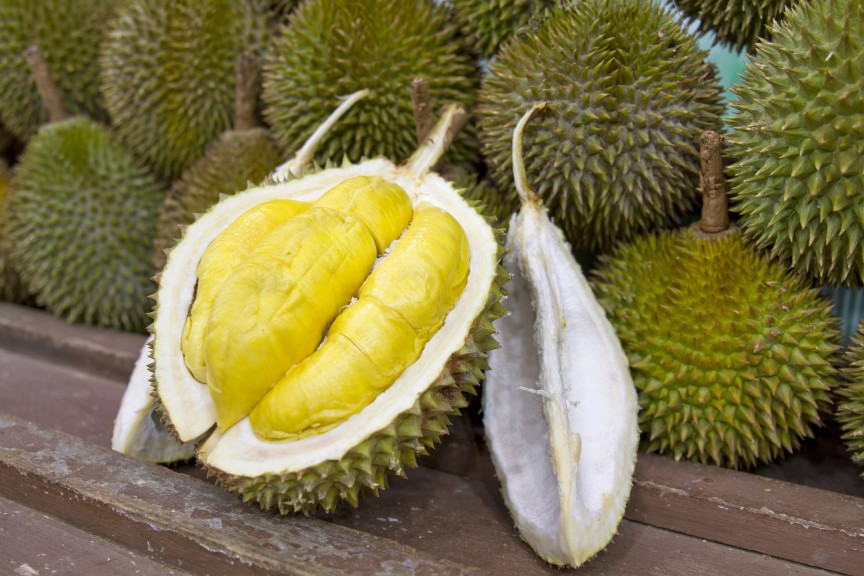 Durianul (în transportul public din Singapore, Thailanda și alte țări din Asia de Sud-Est)